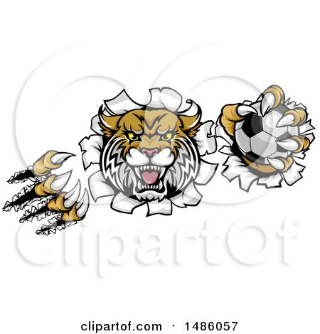 Clipart of a Vicious Wildcat Mascot Shredding Through a Wall with a Soccer Ball - Royalty Free Vector Illustration by AtStockIllustration