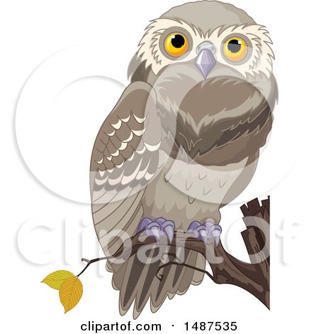 Clipart of a Perched Owl on a Branch - Royalty Free Vector Illustration by Pushkin