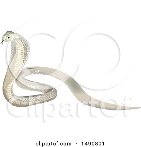 Clipart of a Black and White Attacking Snake - Royalty Free Vector