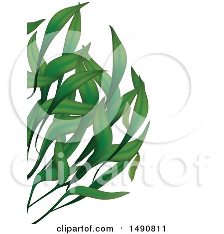 Clipart of a Background of Long Green Leaves and Text Space - Royalty Free Vector Illustration by dero