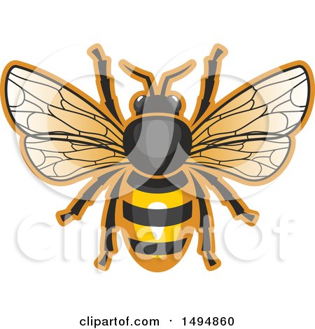 Clipart of a Honey Bee - Royalty Free Vector Illustration by Vector Tradition SM