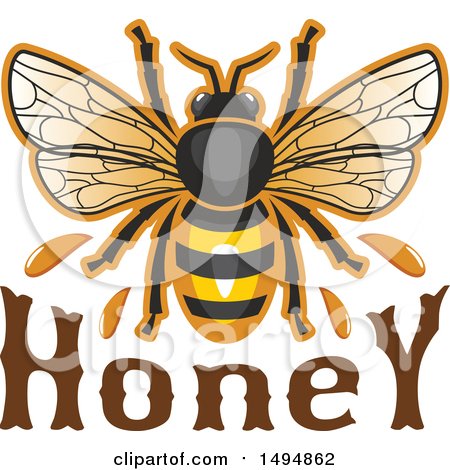 Clipart of a Honey Bee over Text - Royalty Free Vector Illustration by Vector Tradition SM