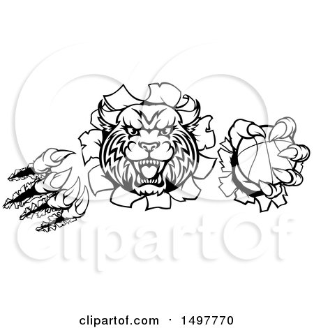 Clipart of a Wildcat Mascot Shredding Through a Wall with a Cricket Ball, Black and White - Royalty Free Vector Illustration by AtStockIllustration