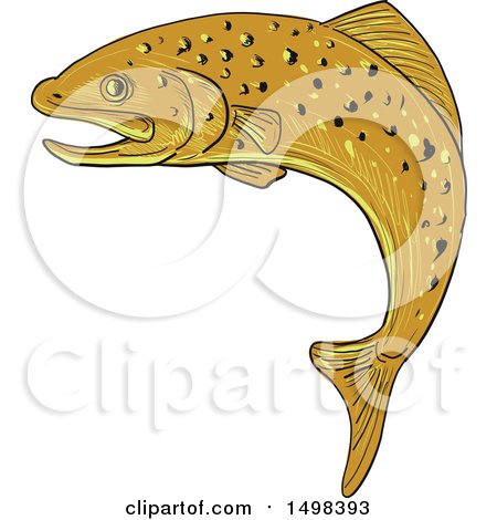 Clipart of a Sketched Jumping Spotted Brown Trout - Royalty Free Vector Illustration by patrimonio