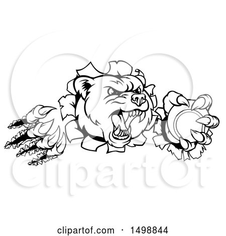 Clipart of a Black and White Bear Mascot Slashing Through a Wall with a Tennis Ball in a Paw - Royalty Free Vector Illustration by AtStockIllustration