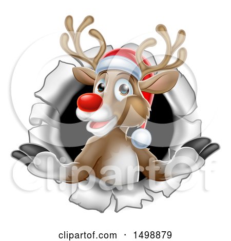 Clipart of a Red Nosed Christmas Reindeer in a Hole in a Wall - Royalty Free Vector Illustration by AtStockIllustration