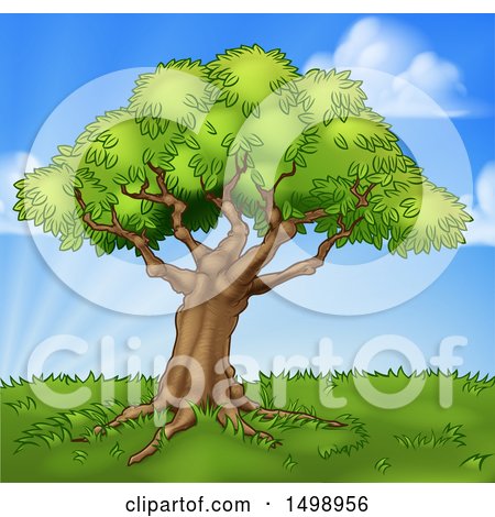 Clipart of a Mature Tree on a Grassy Hill Against a Blue Sky - Royalty Free Vector Illustration by AtStockIllustration