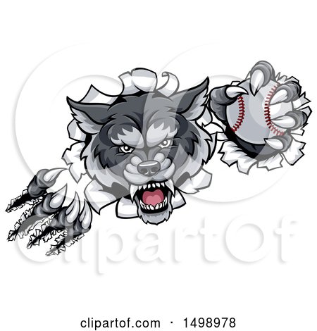 Clipart of a Ferocious Gray Wolf Slashing Through a Wall with a Baseball - Royalty Free Vector Illustration by AtStockIllustration