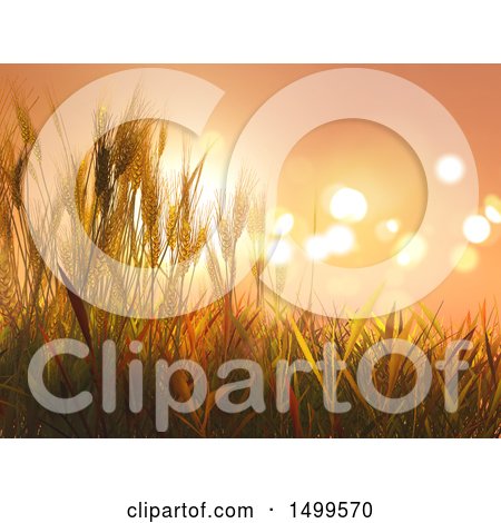 Clipart of a Background of 3d Wheat Stalks Against a Sunset Sky - Royalty Free Illustration by KJ Pargeter
