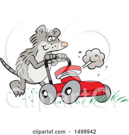 Clipart of a Cartoon Possum Pushing a Red Lawn Mower - Royalty Free Vector Illustration by Johnny Sajem