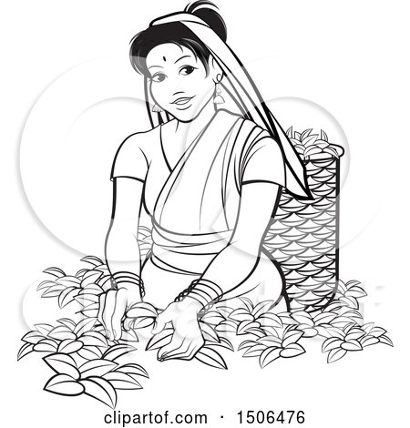 Clipart of a Black and White Sri Lankan Lady Tea Plucking - Royalty Free Vector Illustration by Lal Perera