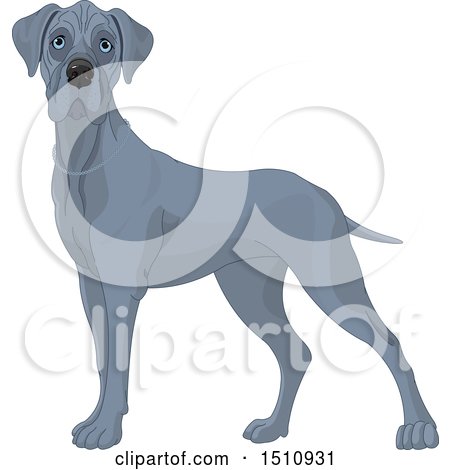 Clipart of a Gray Great Dane Dog - Royalty Free Vector Illustration by Pushkin