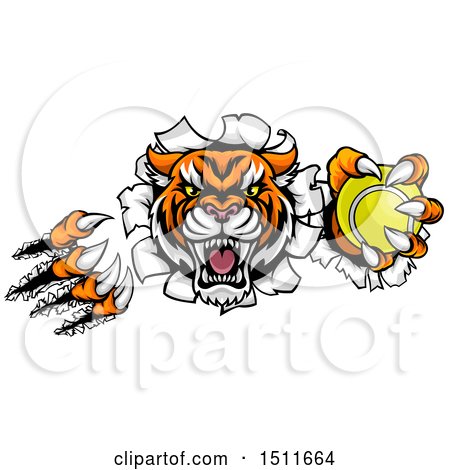 Clipart of a Vicious Tiger Mascot Slashing Through a Wall with a Tennis Ball - Royalty Free Vector Illustration by AtStockIllustration