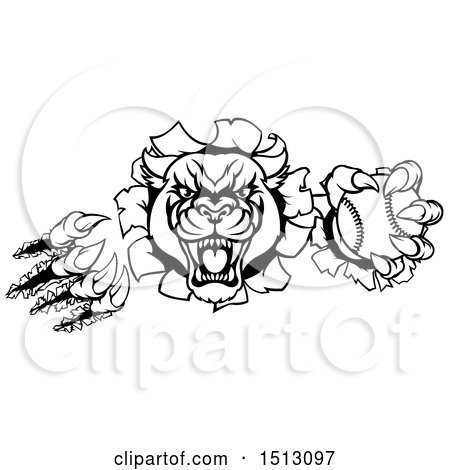 Clipart of a Black and White Vicious Roaring Panther Mascot Shredding Through a Wall with a Baseball - Royalty Free Vector Illustration by AtStockIllustration