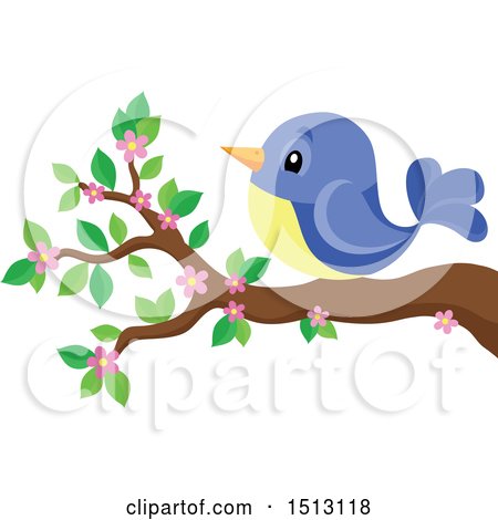 Clipart of a Blue and Yellow Bird Perched on a Spring Blossom Branch - Royalty Free Vector Illustration by visekart