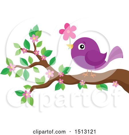 Clipart of a Purple Bird Perched on a Spring Blossom Branch with a Flower - Royalty Free Vector Illustration by visekart