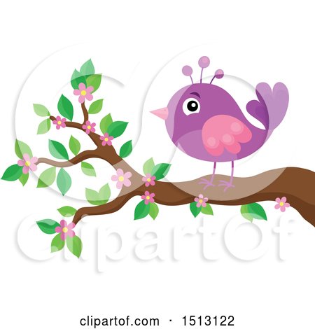 Clipart of a Purple and Pink Bird Perched on a Spring Blossom Branch - Royalty Free Vector Illustration by visekart