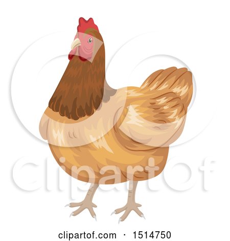 Clipart of a Brown Hen Chicken - Royalty Free Vector Illustration by BNP Design Studio