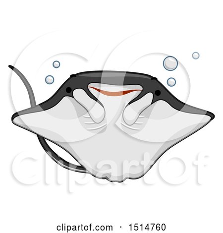 Clipart of a Cute Manta Ray - Royalty Free Vector Illustration by BNP Design Studio