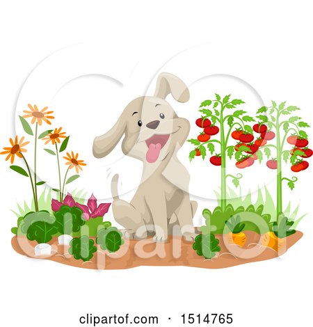 Clipart of a Happy Puppy Dog Sitting in a Vegetable Garden - Royalty Free Vector Illustration by BNP Design Studio