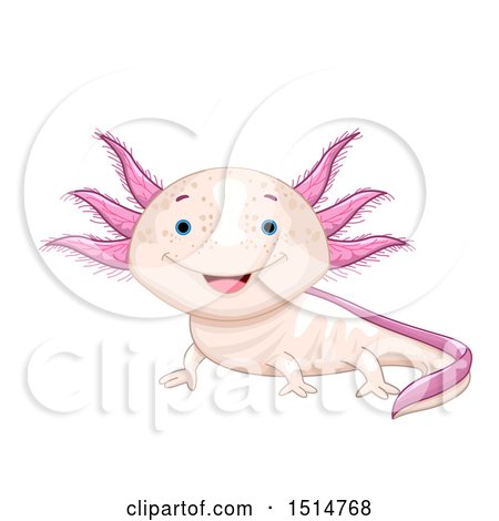 Clipart of a Cute Axolotl - Royalty Free Vector Illustration by BNP Design Studio