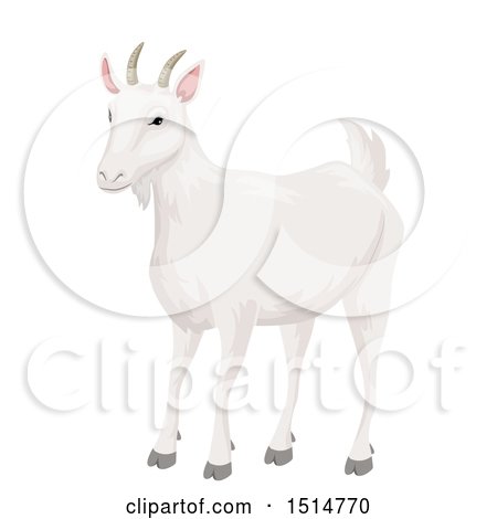 Clipart of a White Goat - Royalty Free Vector Illustration by BNP Design Studio