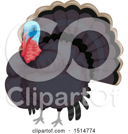 Clipart of a Blue Headed Turkey Bird - Royalty Free Vector Illustration by BNP Design Studio