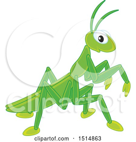 Clipart of a Cute Praying Mantis - Royalty Free Vector Illustration by Alex Bannykh