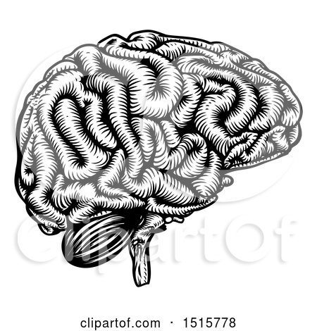 Clipart of a Black and White Etched Human Brain - Royalty Free Vector Illustration by AtStockIllustration