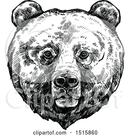 Clipart of a Black and White Sketched Grizzly Bear Face - Royalty Free Vector Illustration by Vector Tradition SM