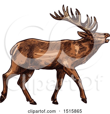 Clipart of a Sketched Reindeer - Royalty Free Vector Illustration by Vector Tradition SM