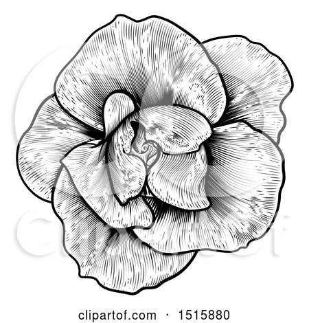 Clipart of a Black and White Rose Flower in Woodcut Style - Royalty Free Vector Illustration by AtStockIllustration