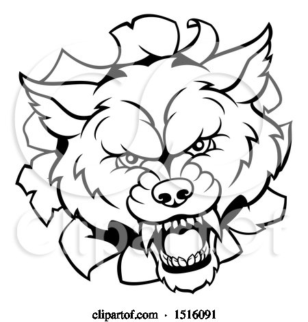 Clipart of a Black and White Wolf Mascot Head Breaking Through a Wall - Royalty Free Vector Illustration by AtStockIllustration