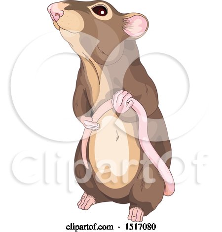 Clipart of a Cute Brown Rat Holding His Tail - Royalty Free Vector Illustration by Pushkin