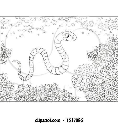 Clipart of a Black and White Sea Snake at a Coral Reef - Royalty Free Vector Illustration by Alex Bannykh