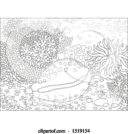 Clipart of a Black and White Cowry Shell at a Coral Reef - Royalty Free Vector Illustration by Alex Bannykh