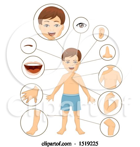Clipart of a Boy with Close Ups of Body Parts - Royalty Free Vector Illustration by BNP Design Studio