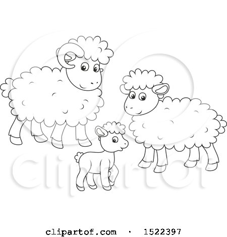 Clipart of a Black and White Sheep Family - Royalty Free Vector Illustration by Alex Bannykh
