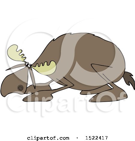 Clipart of a Cowering Scared Moose - Royalty Free Vector Illustration by djart