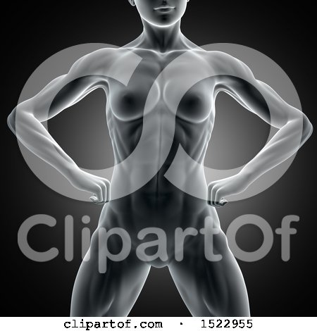 Clipart of a 3d Xray Woman with Visible Abdominal Muscles, on a Dark Gray Background - Royalty Free Illustration by KJ Pargeter