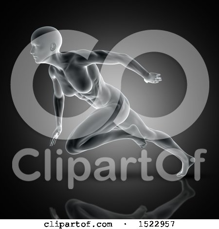 Clipart of a 3d Xray Woman Sprinting with Visible Muscles, on a Dark Gray Background - Royalty Free Illustration by KJ Pargeter