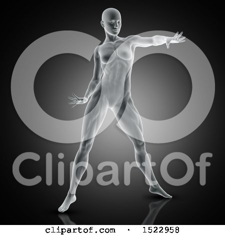 Clipart of a 3d Xray Woman Stretching with Visible Muscles, on a Dark Gray Background - Royalty Free Illustration by KJ Pargeter
