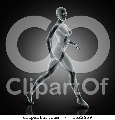 Clipart of a 3d Xray Woman Walking with Visible Muscles, on a Dark Gray Background - Royalty Free Illustration by KJ Pargeter