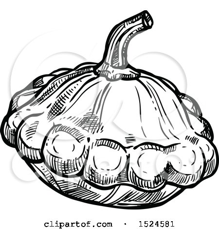 Clipart of a Patty Pan Squash in Black and White Sketched Style - Royalty Free Vector Illustration by Vector Tradition SM