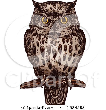 Clipart of a Perched Owl in Sketched Style - Royalty Free Vector Illustration by Vector Tradition SM