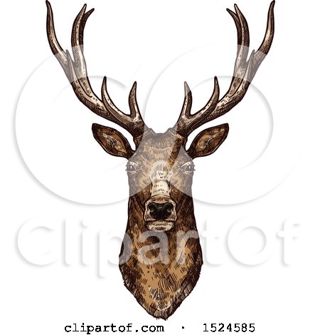 Clipart of a Buck Deer Head in Sketched Style - Royalty Free Vector Illustration by Vector Tradition SM