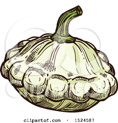 Clipart of a Patty Pan Squash in Sketched Style - Royalty Free Vector Illustration by Vector Tradition SM