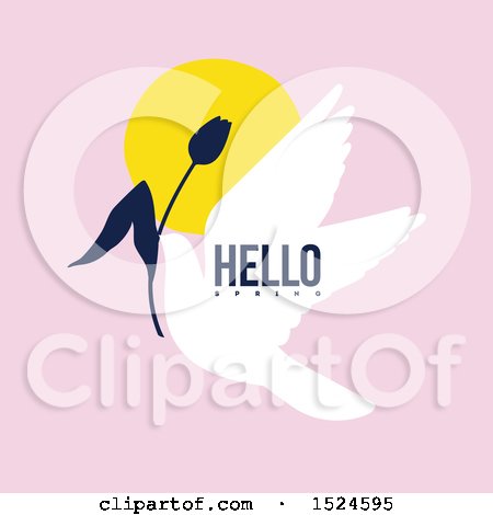 Clipart of a Hello Spring Design a Dove and Tulip Flower on Pink - Royalty Free Vector Illustration by elena
