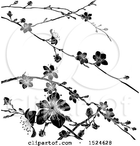 Clipart of a Black and White Cherry Blossom Branches Background - Royalty Free Vector Illustration by AtStockIllustration