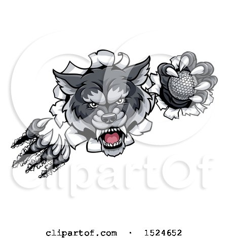 Clipart of a Ferocious Gray Wolf Slashing Through a Wall with a Golf Ball - Royalty Free Vector Illustration by AtStockIllustration